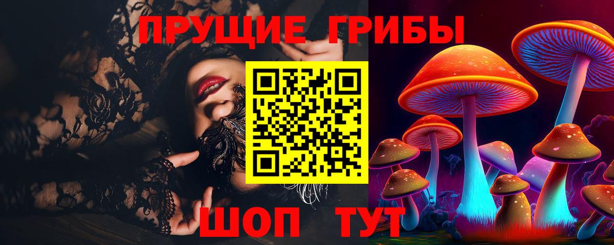 Элиста  Галлюциногенные грибы Psilocybe  Вход с VPN 